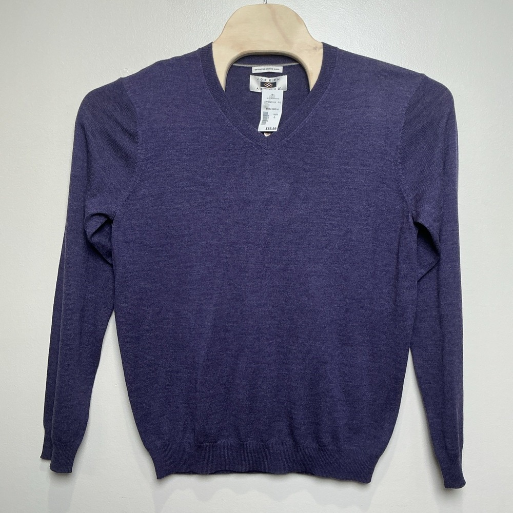 JOSEPH ABBOUD Men's L Extra Fine Merino Wool Sweater V-Neck Pullover Purple NWT